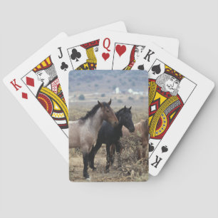 Baralho Cavalos selvagens 5 do mustang