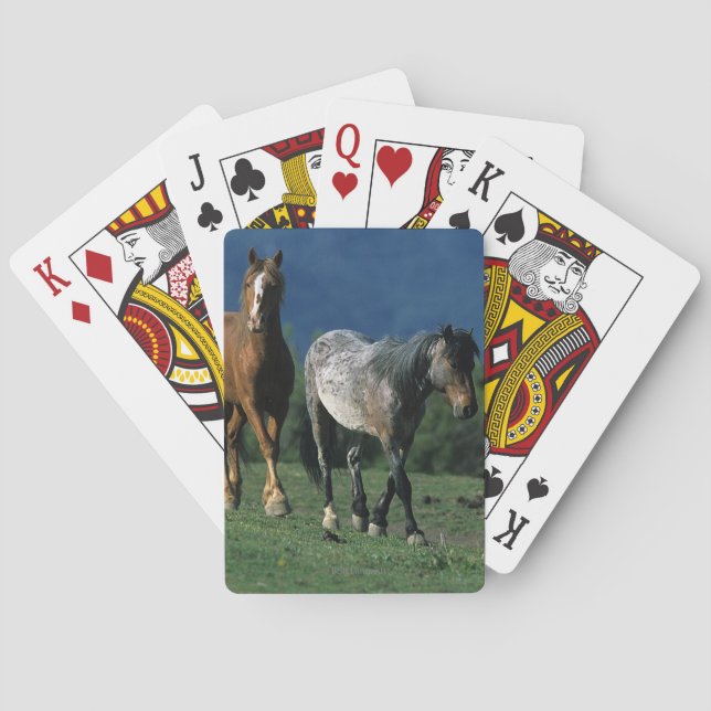 Baralho Cavalos selvagens do mustang (Verso)
