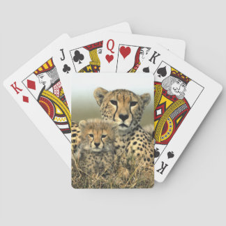 Baralho Cheetah Mãe e Cub
