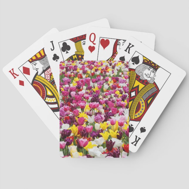 Baralho cheio de tulipas (Verso)