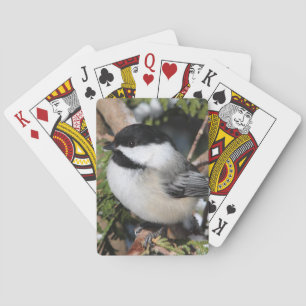 Baralho Chickadee_9530