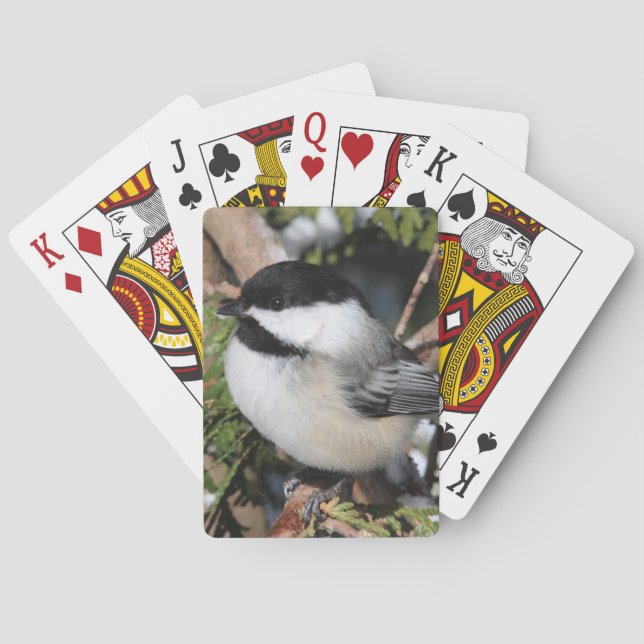 Baralho Chickadee_9530 (Verso)