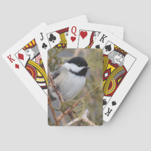 Baralho Chickadee_9654