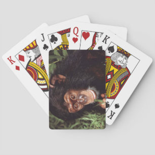 Baralho Chimpansee