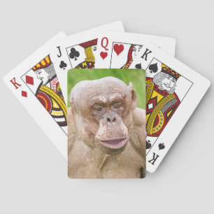 Baralho Chimpanzé sem Cabelos
