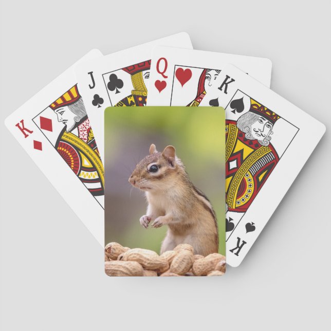 Baralho Chipmunk com amendoins (Verso)