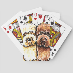 Baralho Chocolate de creme Labradoodles