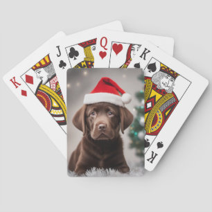 Baralho Chocolate Labrador