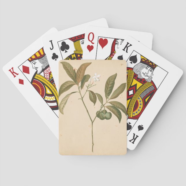 Baralho Cobalt Deco Painel I (Verso)