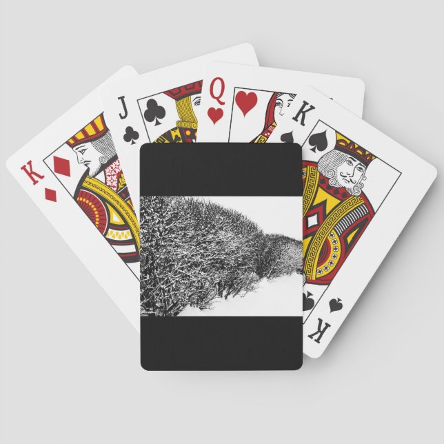 Baralho cobertura do inverno (Verso)