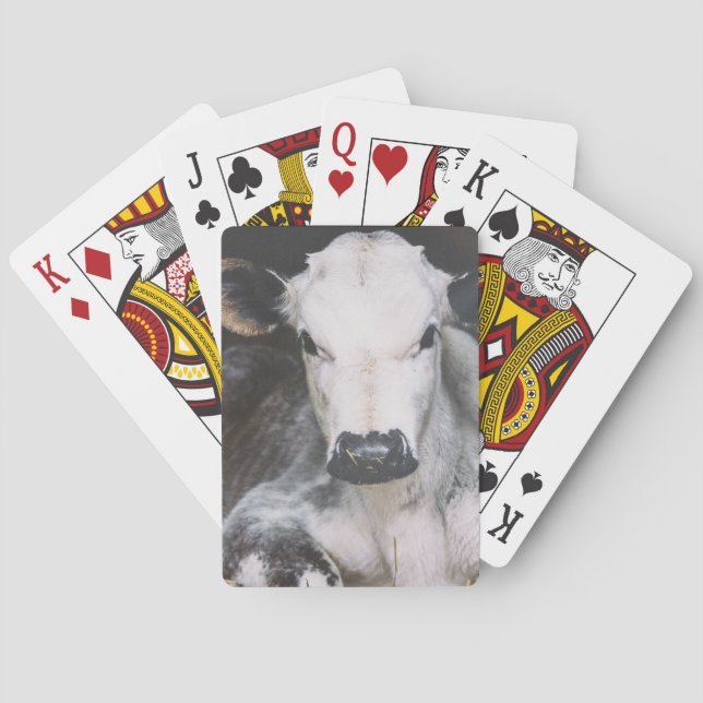 Baralho Colheita ocupada do dia (Verso)