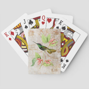Baralho Colibri magnífico