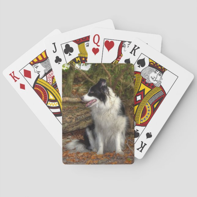 Baralho Collie na floresta (Verso)