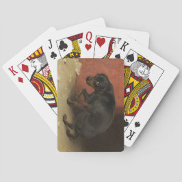 Baralho Consciência Faz Borricas De Todos Nós