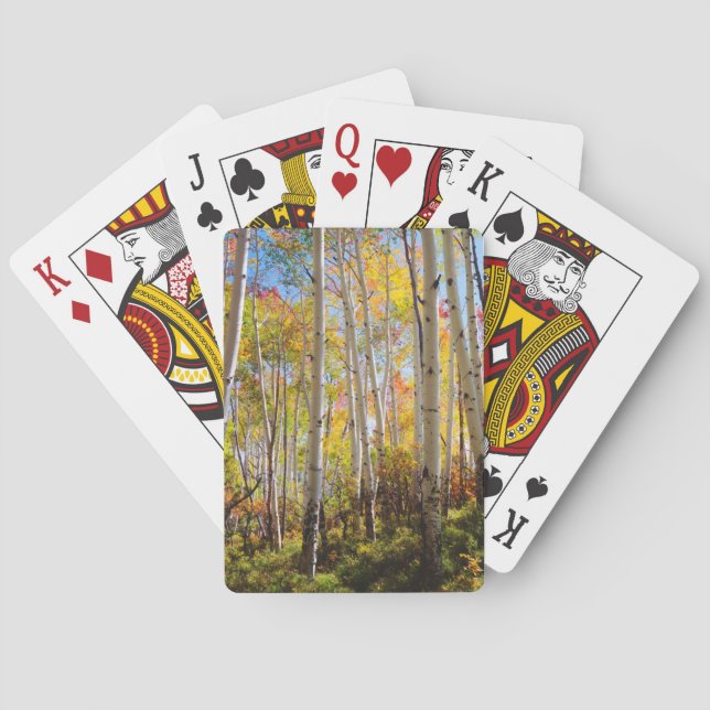 Baralho Cores de outono das árvores Aspen 5 (Verso)