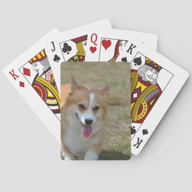 Baralho Corgi feliz (Verso)