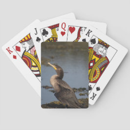 Baralho Cormorão de peito duplo