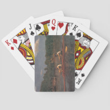 Corrida de Barcos Rebocados no Rio