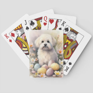 Baralho Coton De Tulear com Ovos da Páscoa