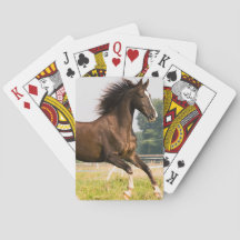 Crie a Foto do Seu Cavalo de Estimação Personaliza