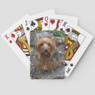 Baralho Crie o seu próprio Pet Personalizado de Fotografi