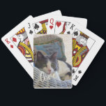 Baralho Crie Seu Próprio Pet De Amor<br><div class="desc">O adorável animal de estimação como um baralho de cartas. Como esse design não poderia melhorar seu jogo? É muito fácil para você carregar sua própria foto de animal de estimação e para você personalizar isso com o nome do seu animal de estimação. Uma maneira divertida de animar qualquer jogo....</div>