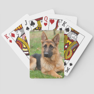 Baralho Crie Sua Própria Foto Personalizada de Animal de E