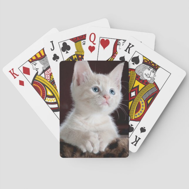 Baralho Cristóvão Branco Vulnerável (Verso)