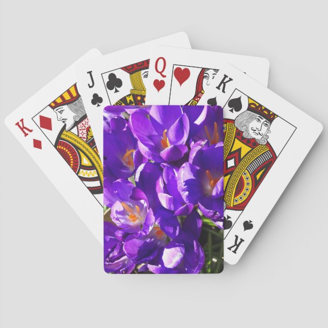BARALHO CROCUS DE PRIMAVERA (Verso)