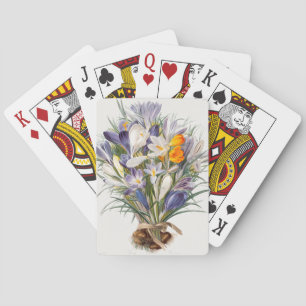 Baralho Crocus Primavera Fllower Arte Floral