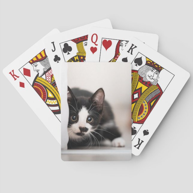 Baralho Cutest Baby Animals | Black & White Kitten (Verso)