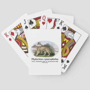 Baralho Cynocephalus do Thylacinus (tigre ou lobo
