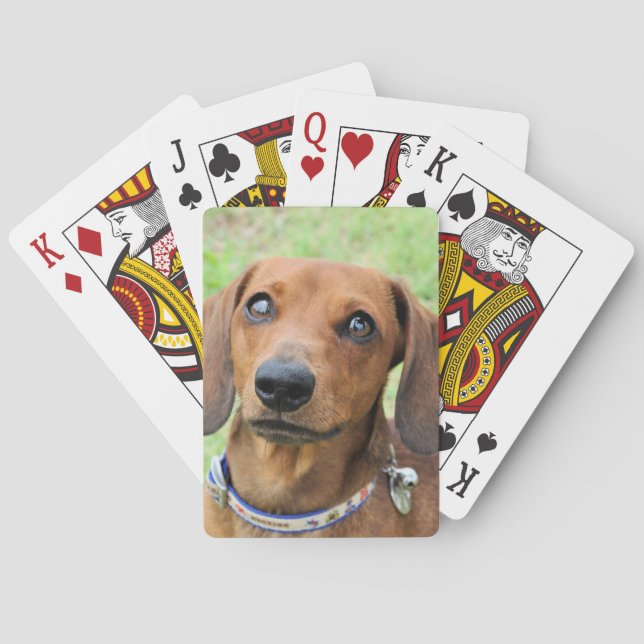 Baralho Dachshund (Verso)