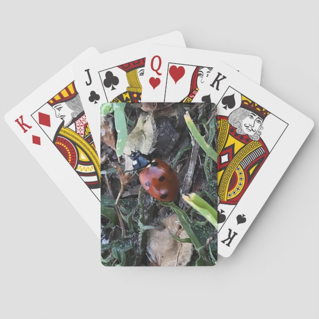 Baralho Dama (Verso)