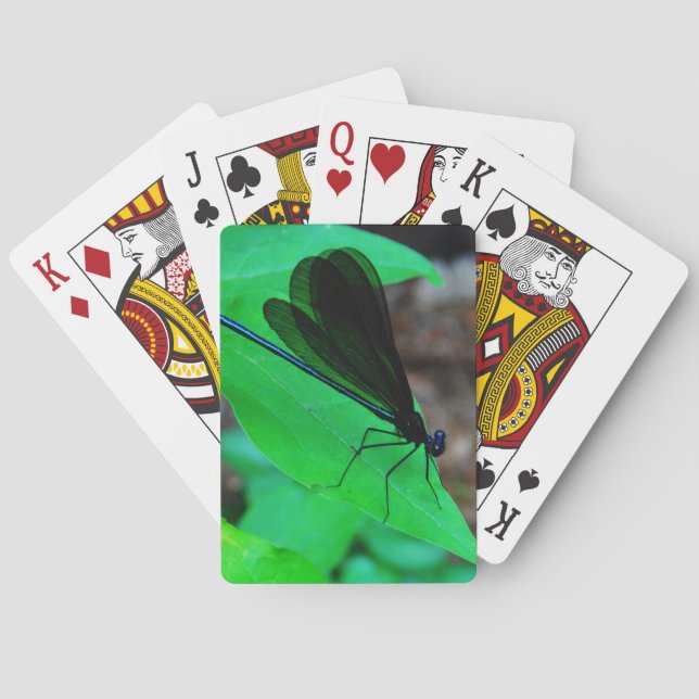 Baralho Damselfly azul em uma folha verde. (Verso)