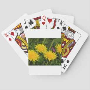 Baralho Dandelions