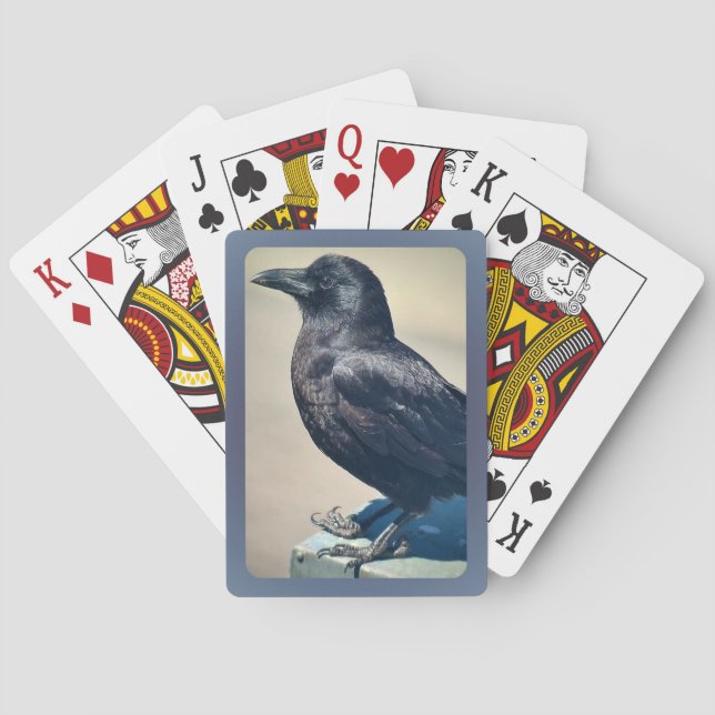 Baralho Dashing Disabled Daryl (Verso)