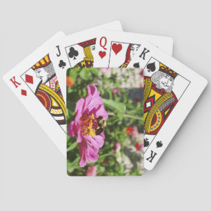 Baralho de Cartas de Aterrissagem