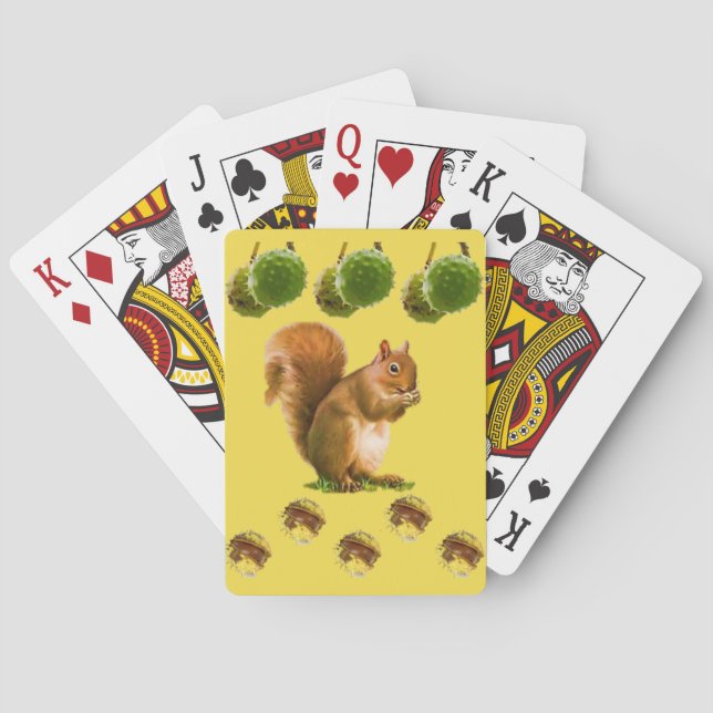 Baralho de Cartas do Esquilo (Verso)