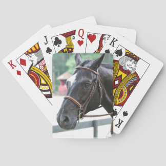 Baralho Deck de Cartões de Warmblood Negro