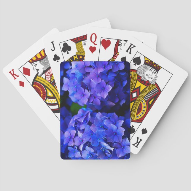 Baralho Desenhista azul da flor do Hydrangea (Verso)
