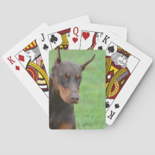 Baralho Doberman