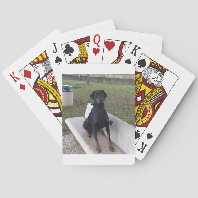 Baralho doberman pincher sentado (Verso)