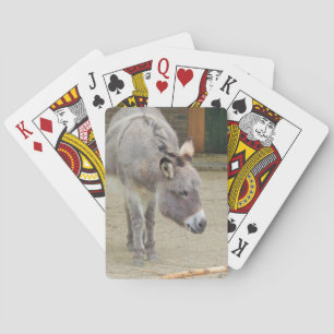 Baralho Doce, Cinza Animal, Família de Cavalos