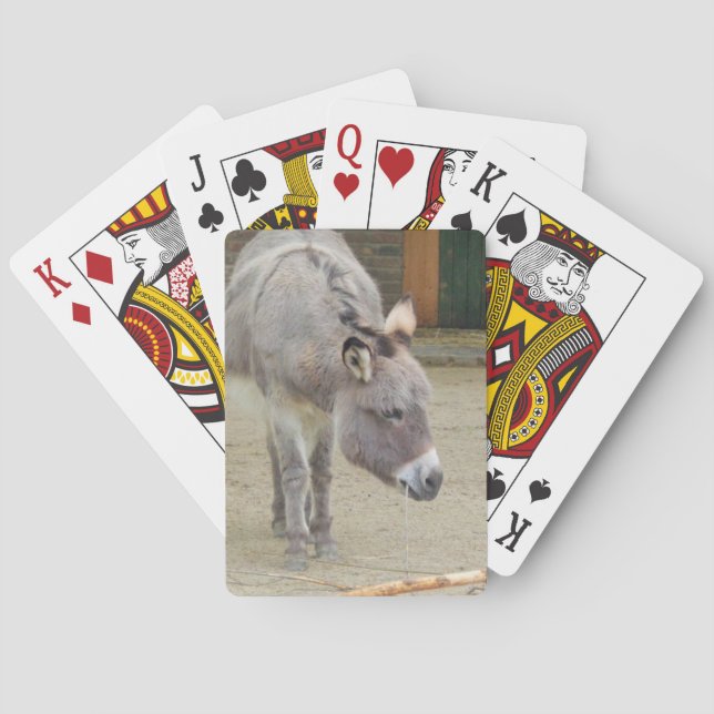 Baralho Doce, Cinza Animal, Família de Cavalos (Verso)