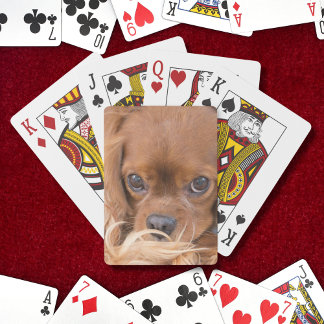 Baralho Doce Ruby Cavalier King Charles Spaniel