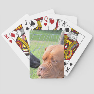 Baralho Dogue de Bordéus