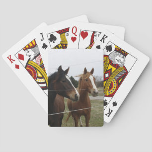 Baralho Dois Cavalos