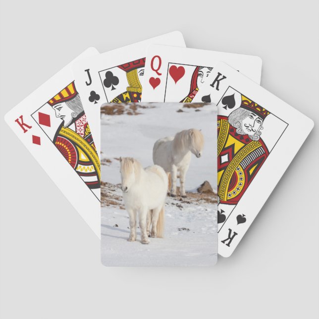 Baralho Dois cavalos islandêses brancos (Verso)