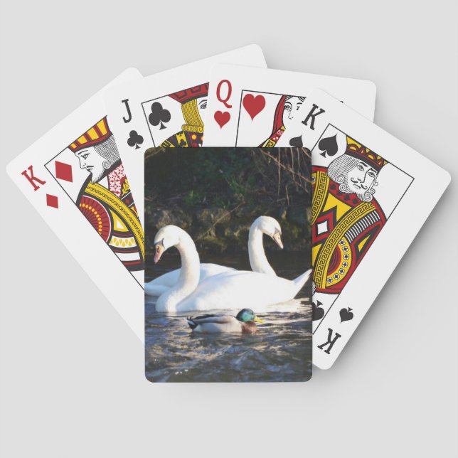 Baralho Dois Cisnes E Um Pato (Verso)